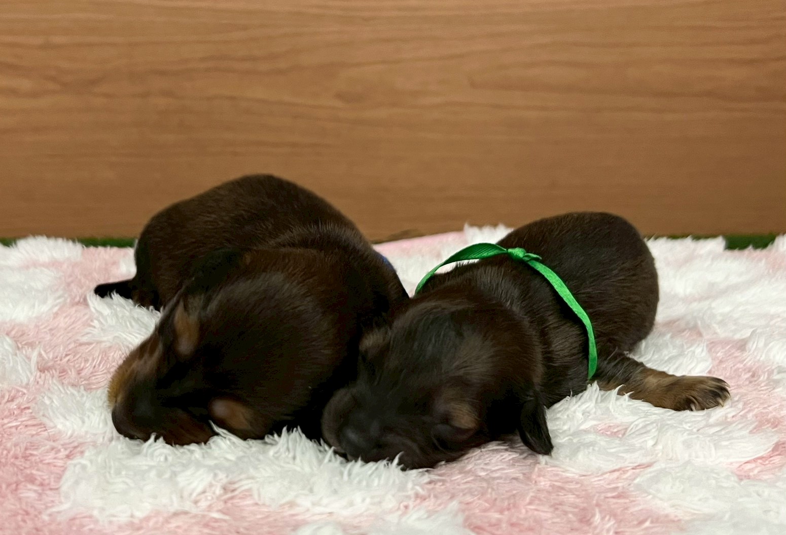 赤ちゃん写真1-3