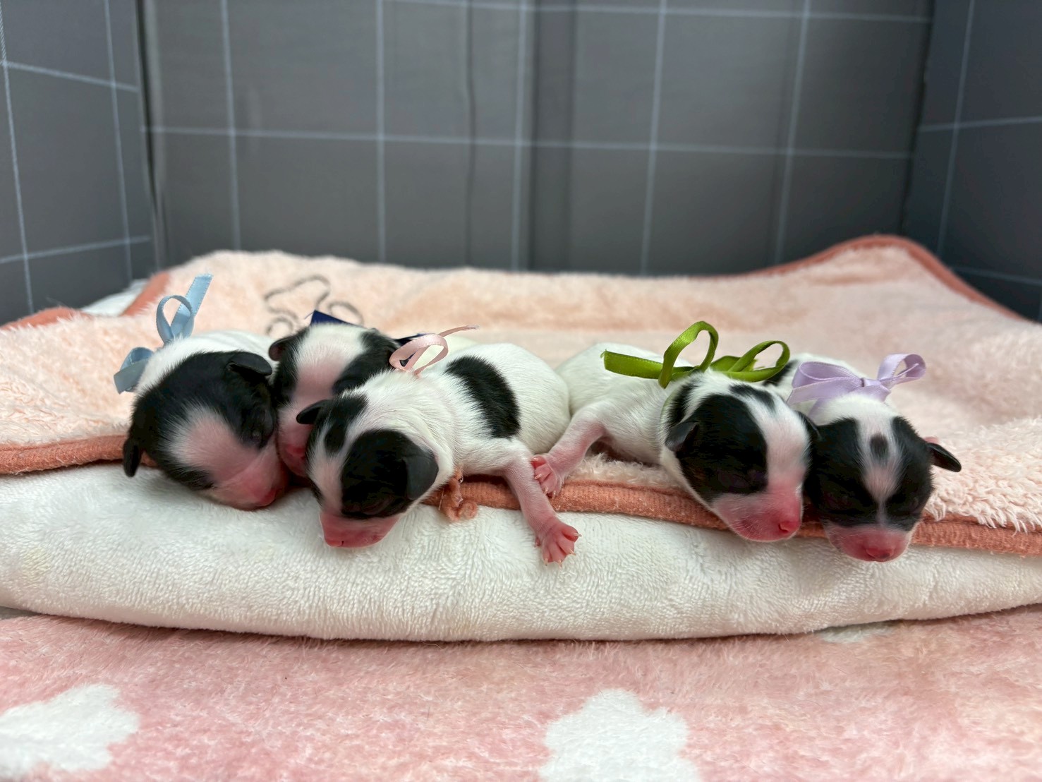 赤ちゃん写真1-3