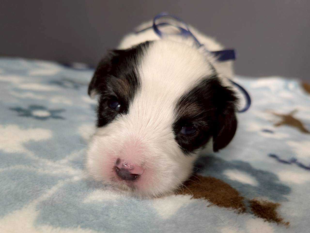 赤ちゃん写真2-1