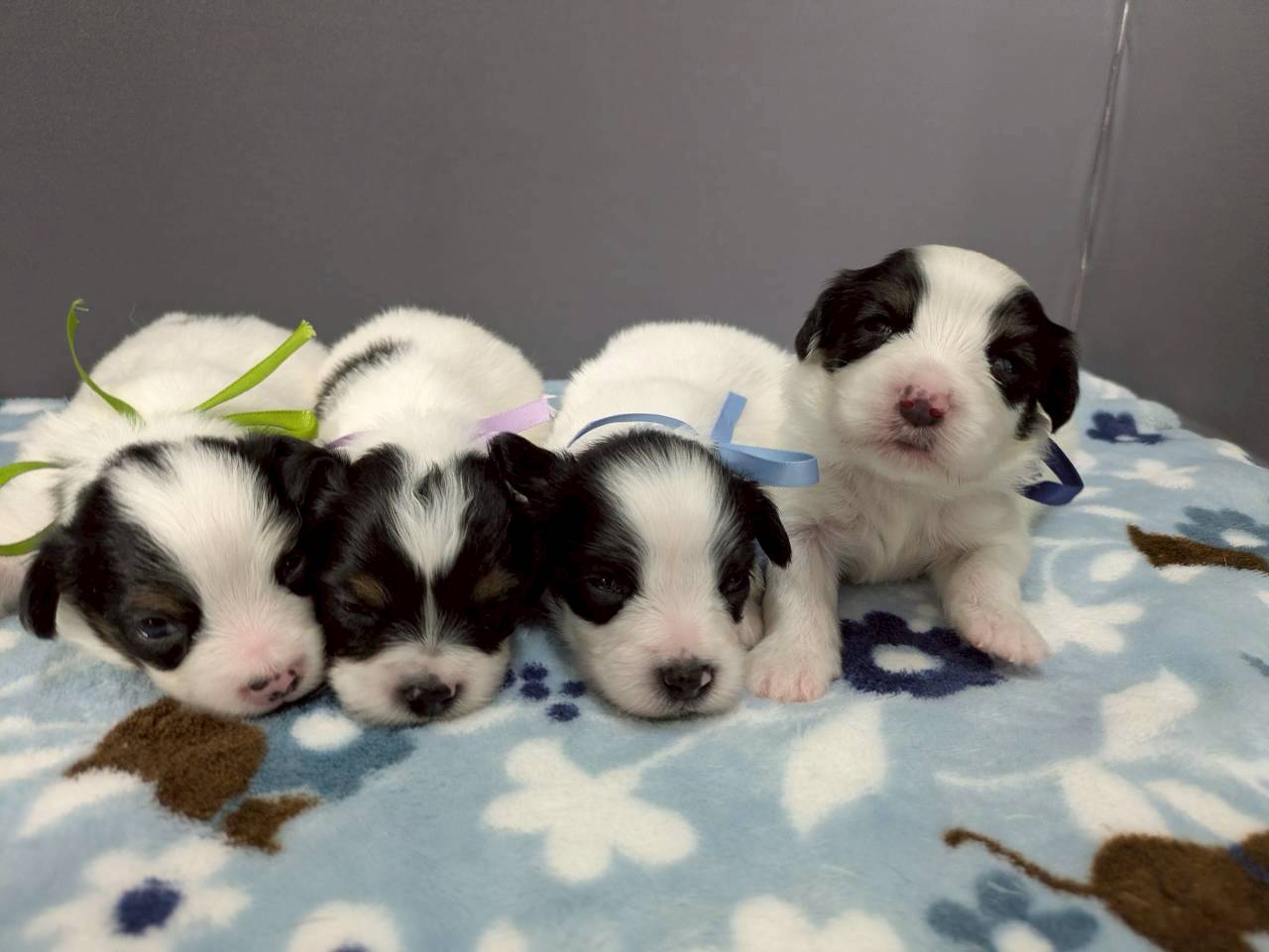 赤ちゃん写真2-3