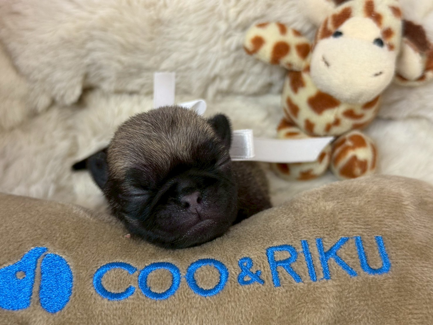 赤ちゃん写真1-1