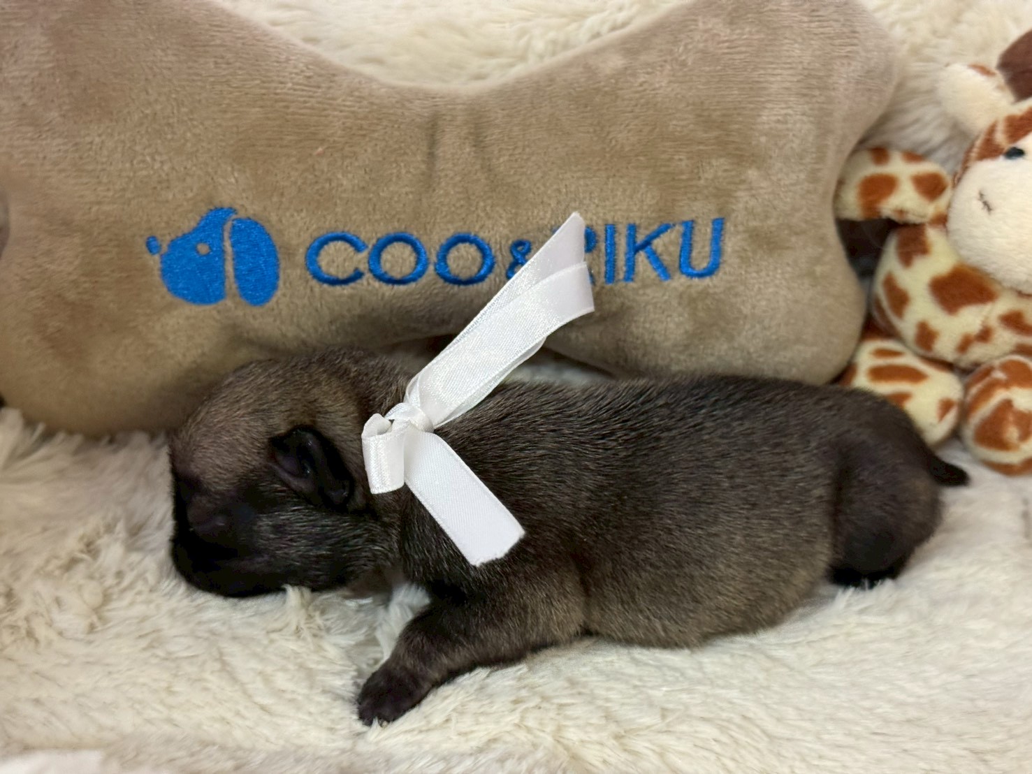 赤ちゃん写真1-2