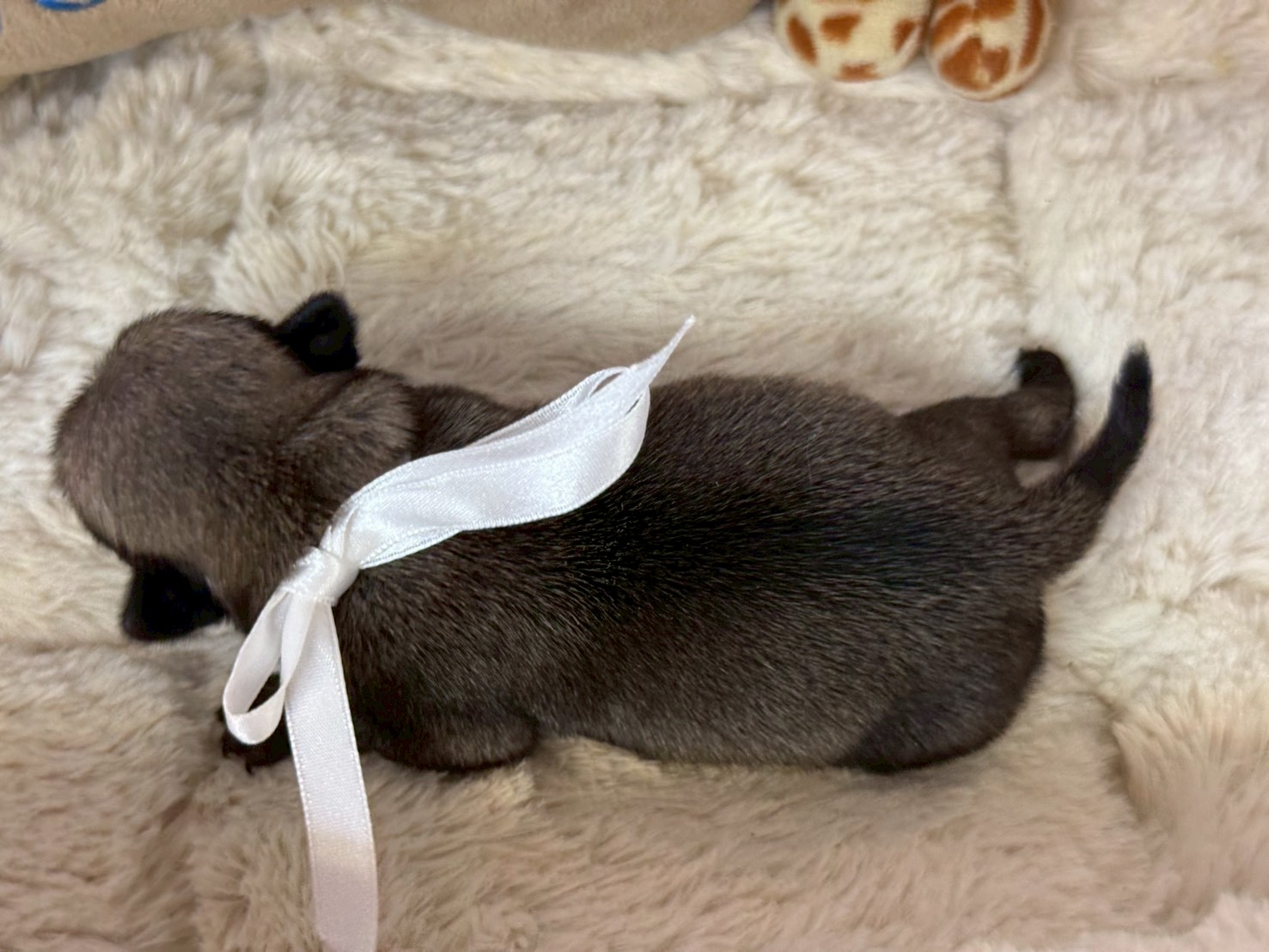 赤ちゃん写真1-3