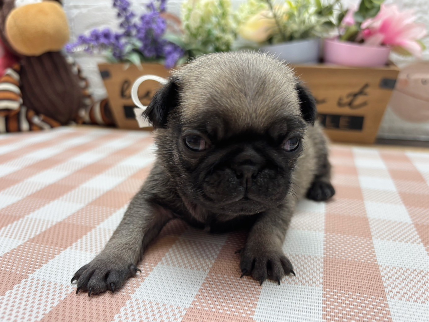 赤ちゃん写真2-1
