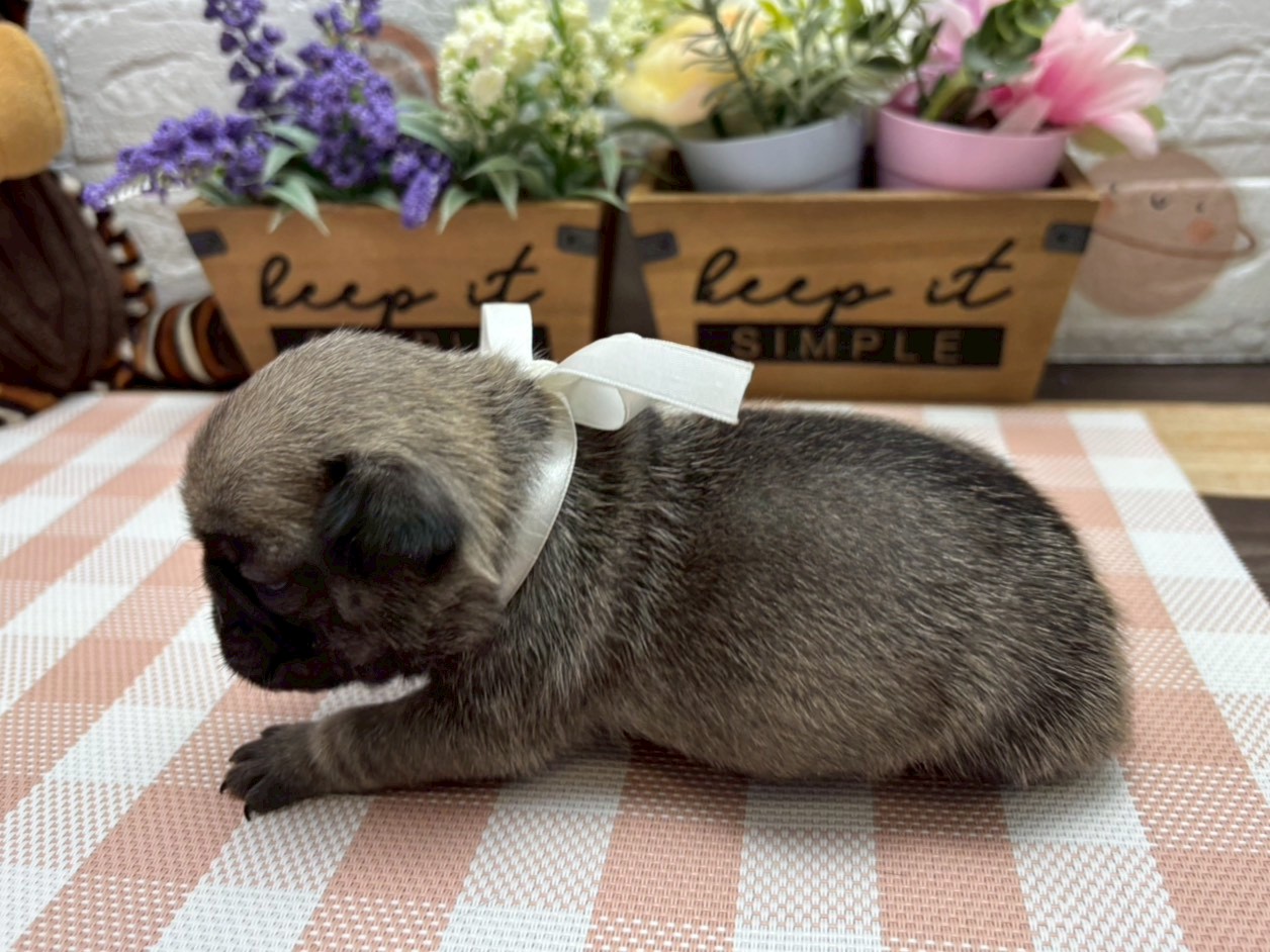 赤ちゃん写真2-2