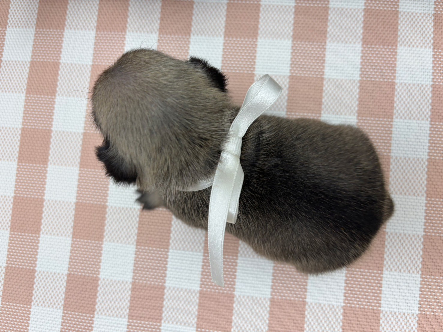 赤ちゃん写真2-3