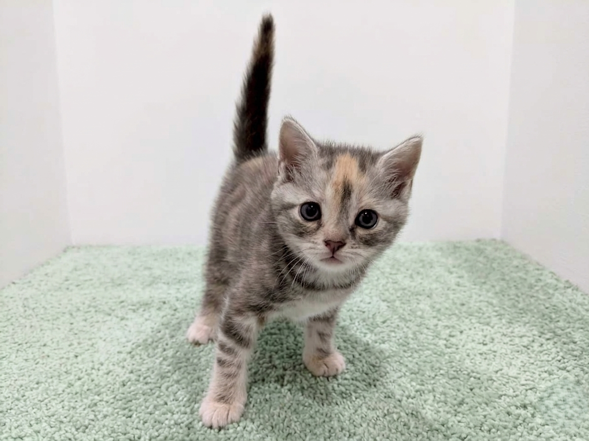 赤ちゃん写真2-1