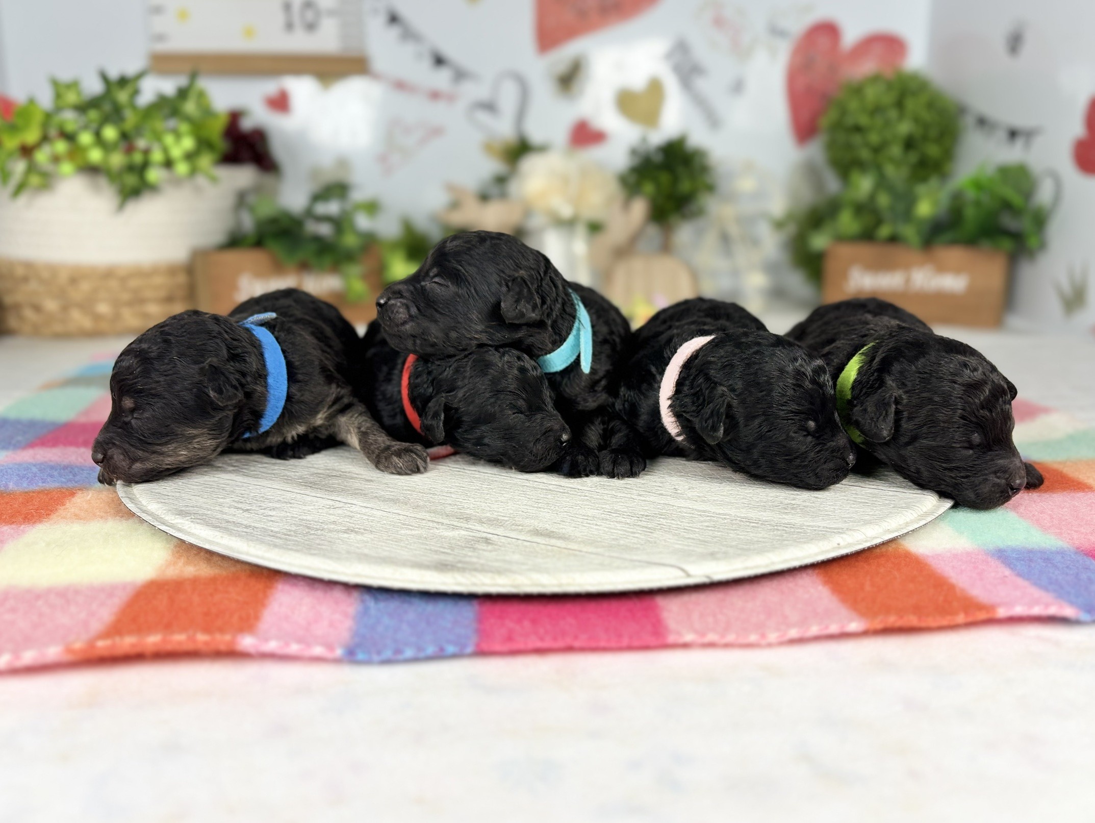 赤ちゃん写真1-3