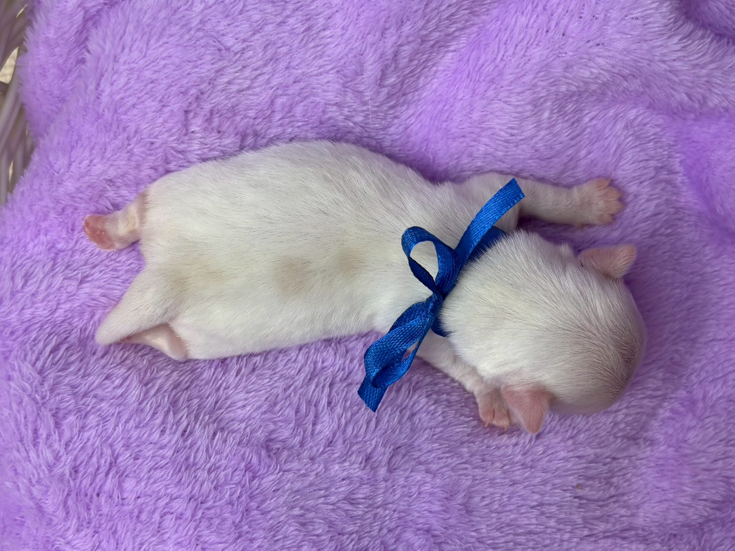 赤ちゃん写真1-3