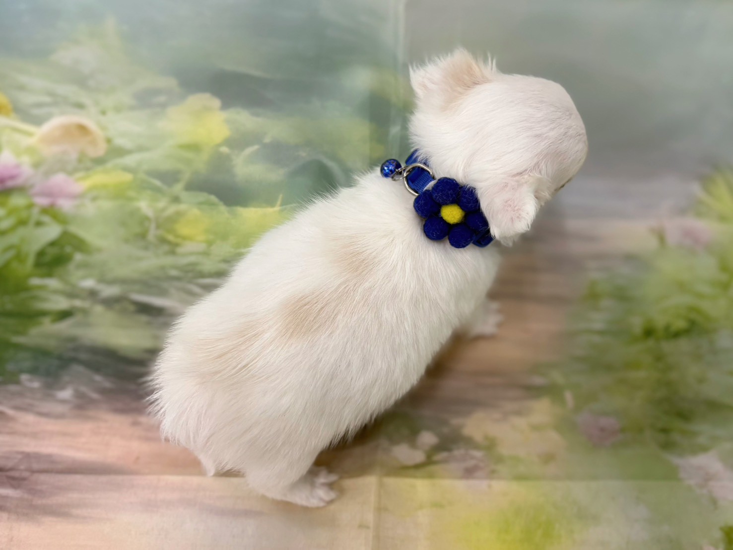 赤ちゃん写真3-3