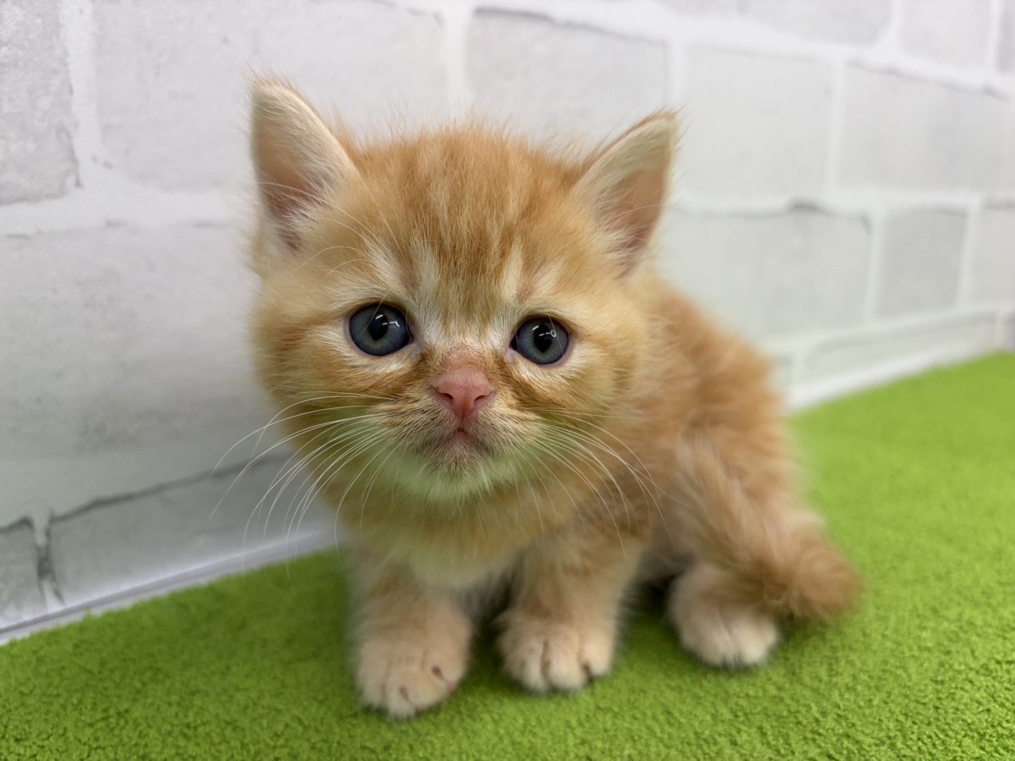 赤ちゃん写真2-1