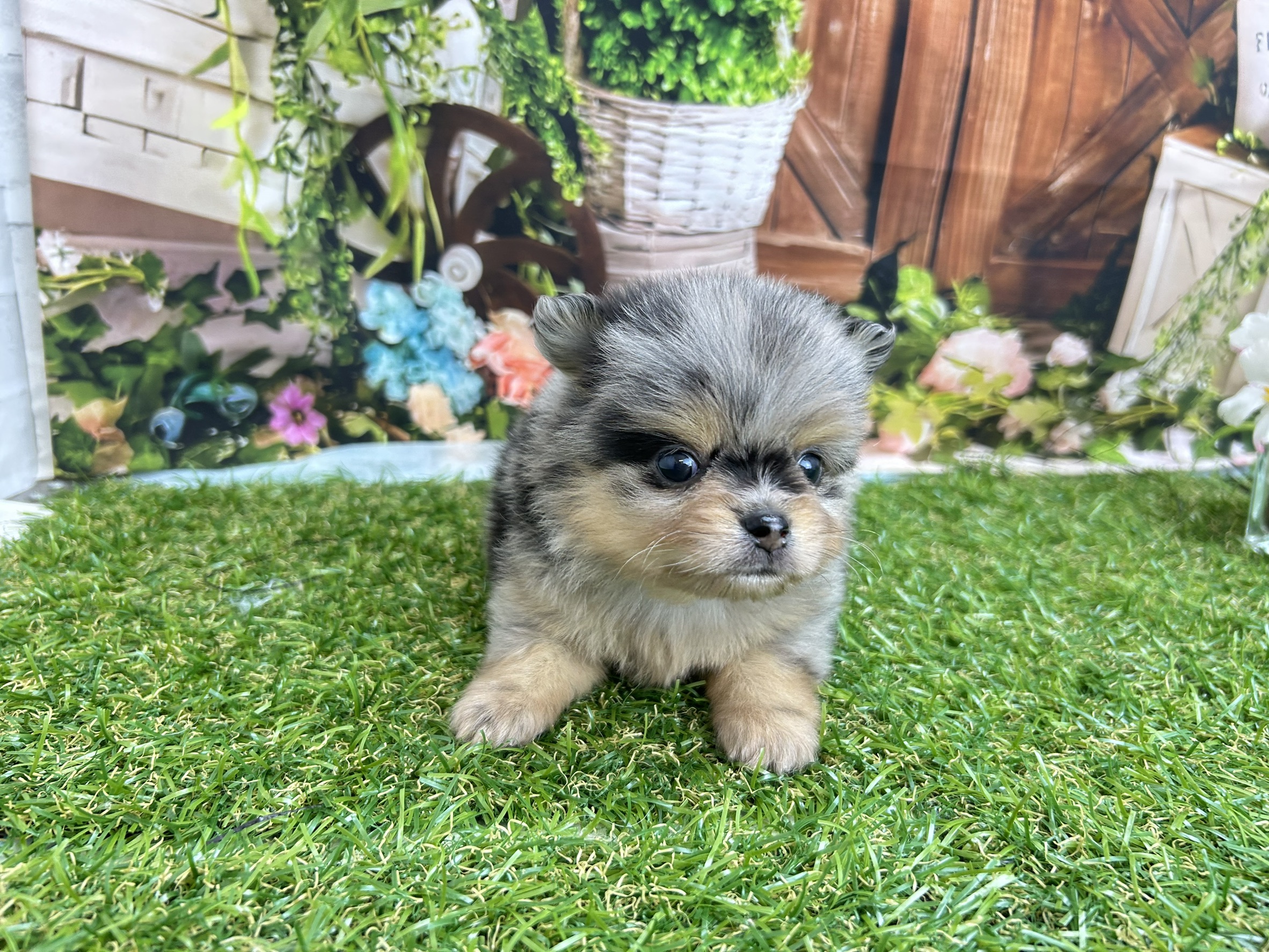 赤ちゃん写真2-1