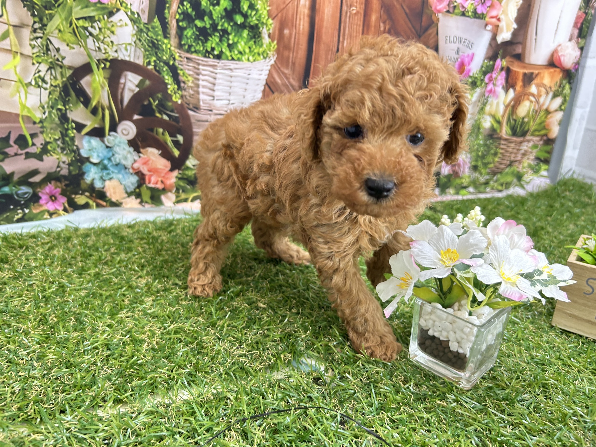 赤ちゃん写真2-3