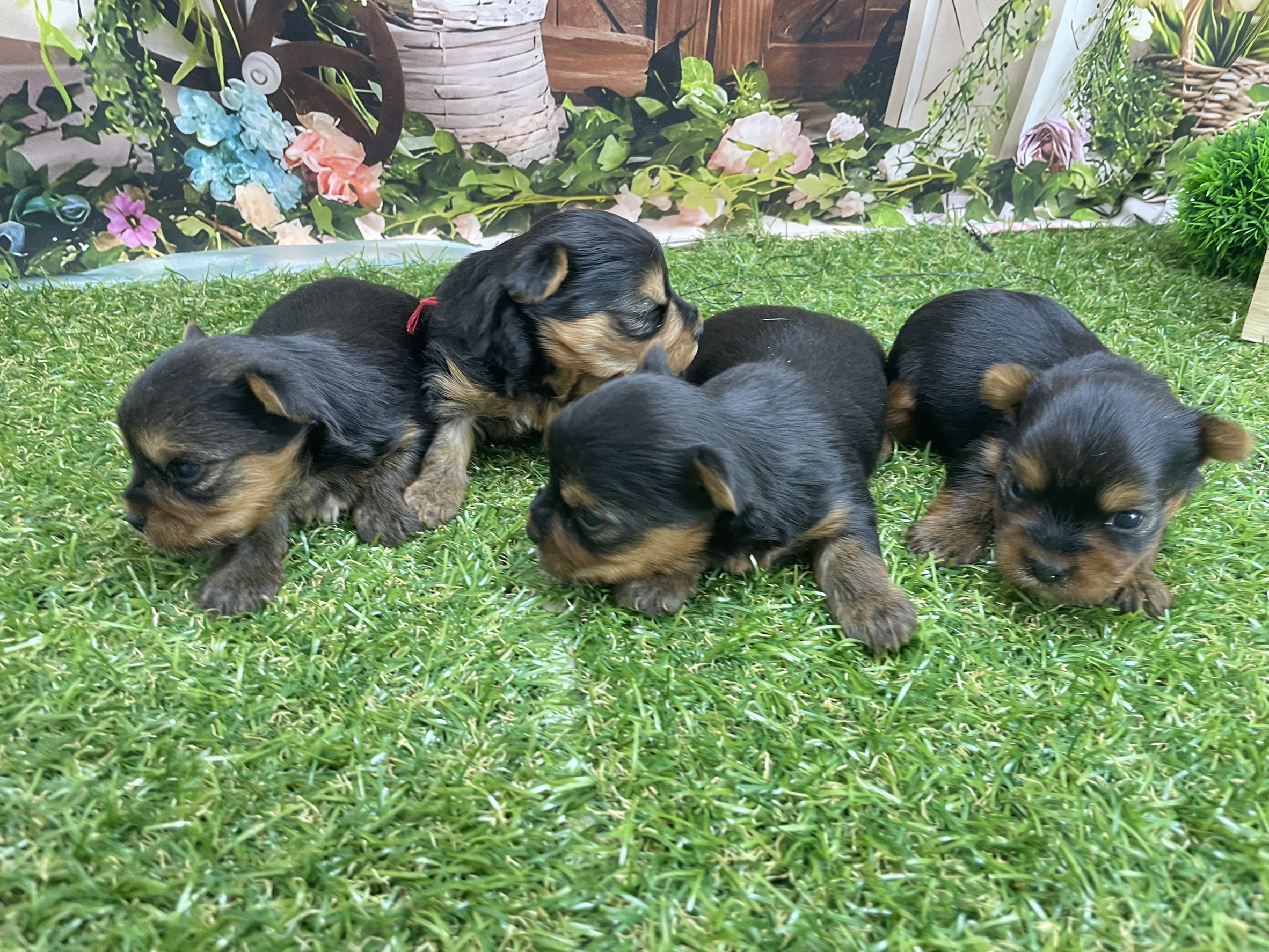 赤ちゃん写真1-3