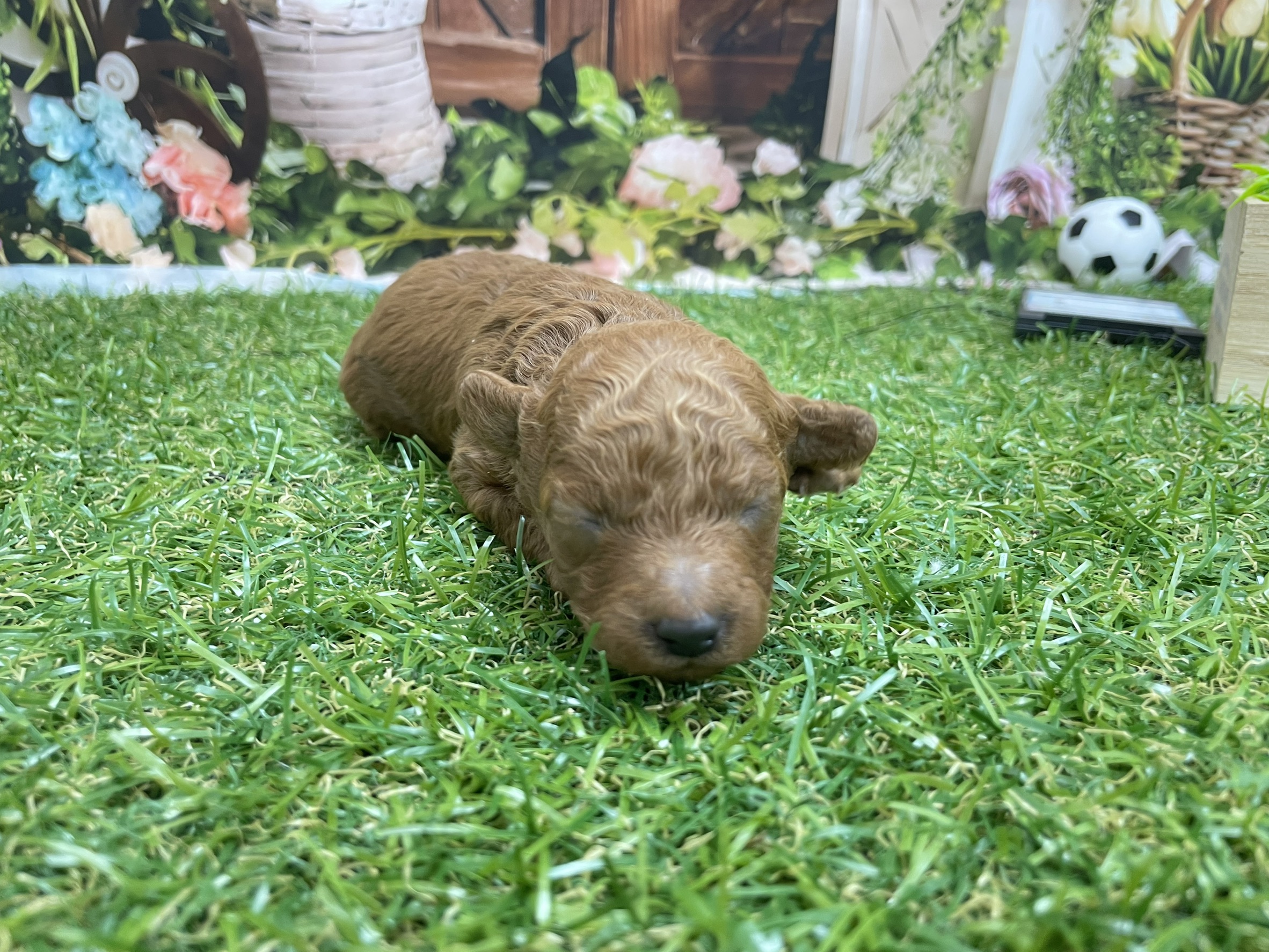 赤ちゃん写真1-1
