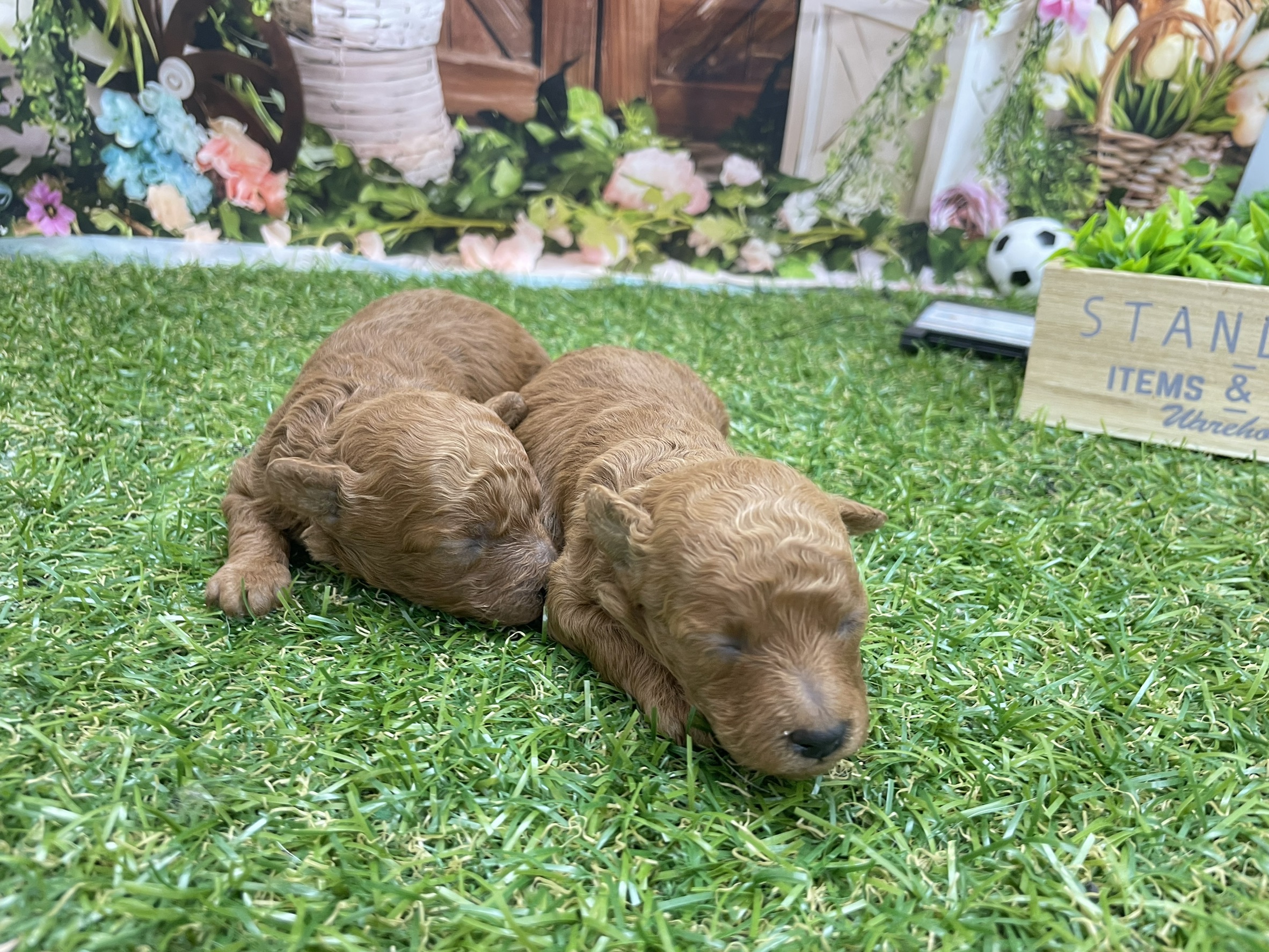 赤ちゃん写真1-3