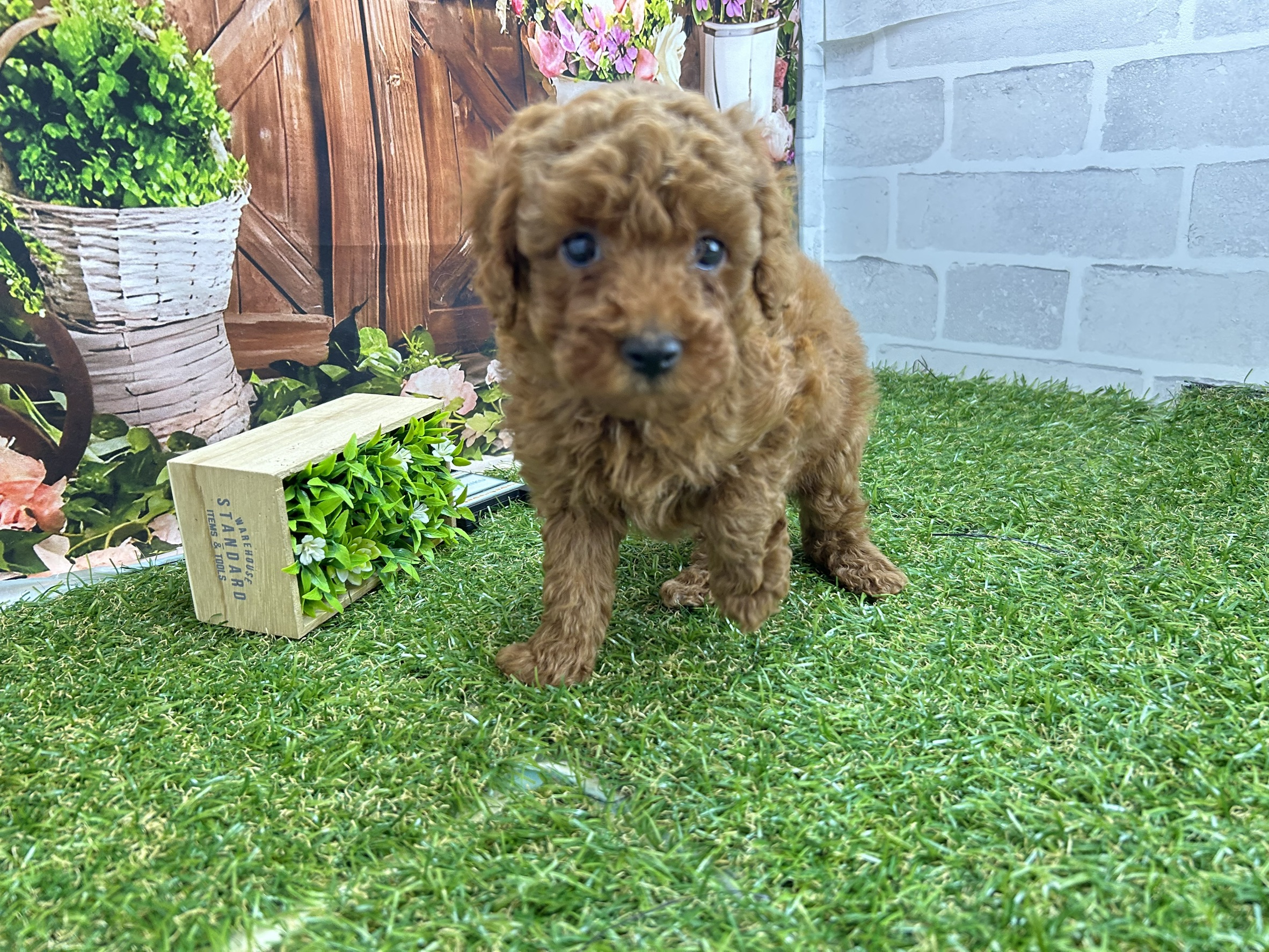 赤ちゃん写真3-1