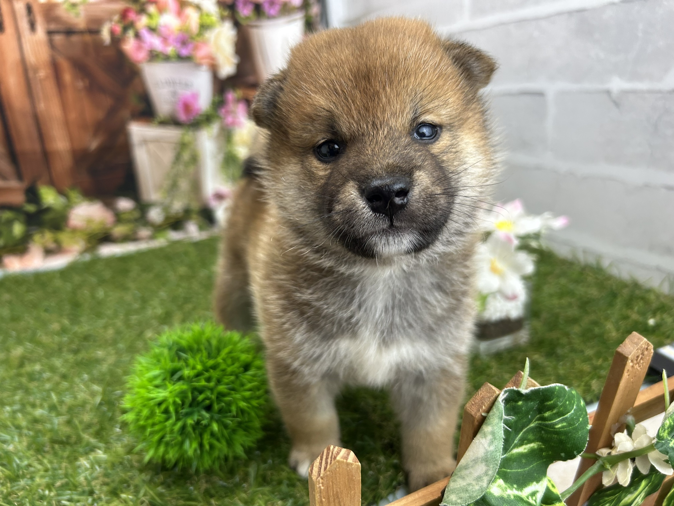 赤ちゃん写真2-2