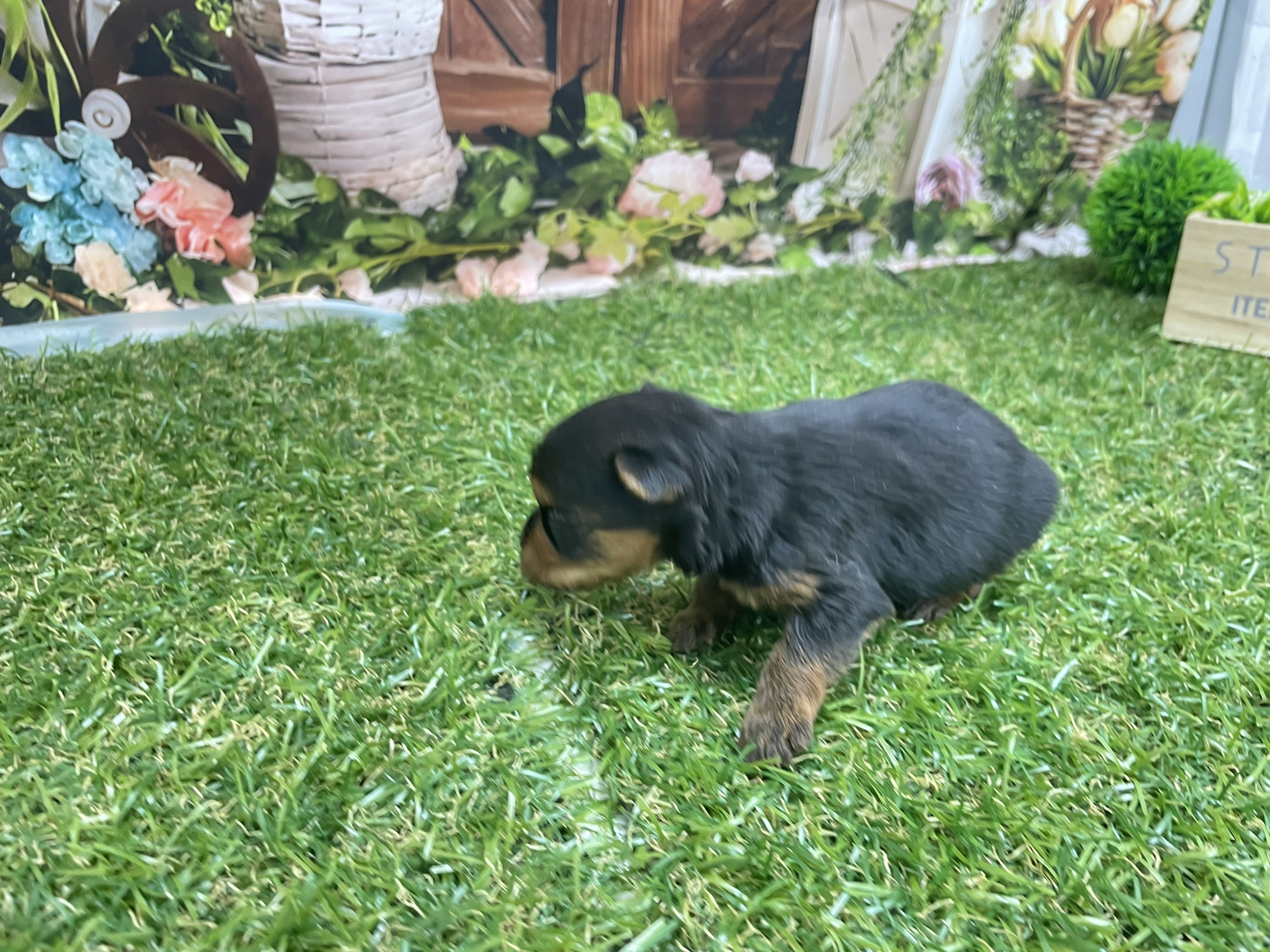 赤ちゃん写真1-3