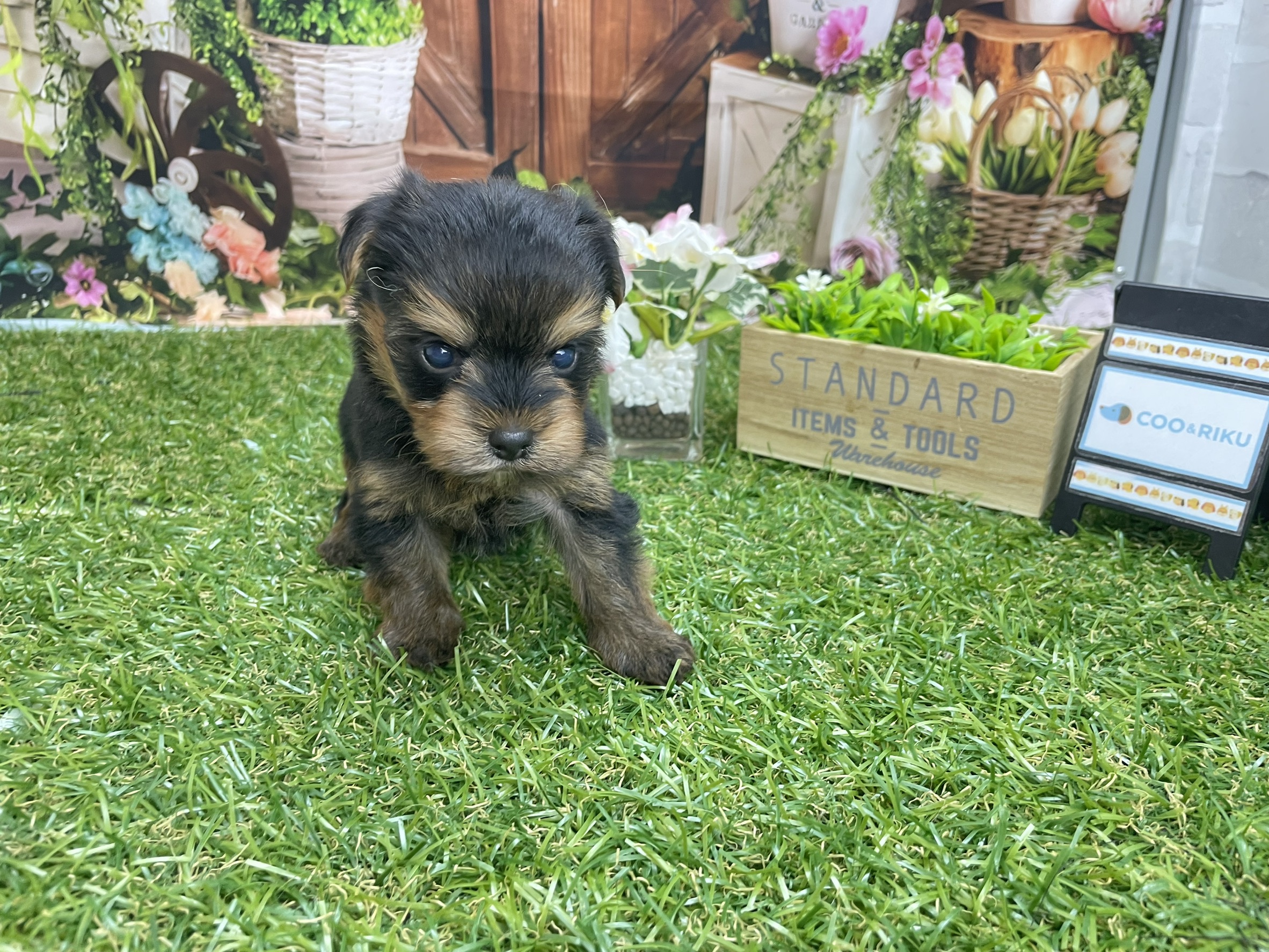 赤ちゃん写真2-3