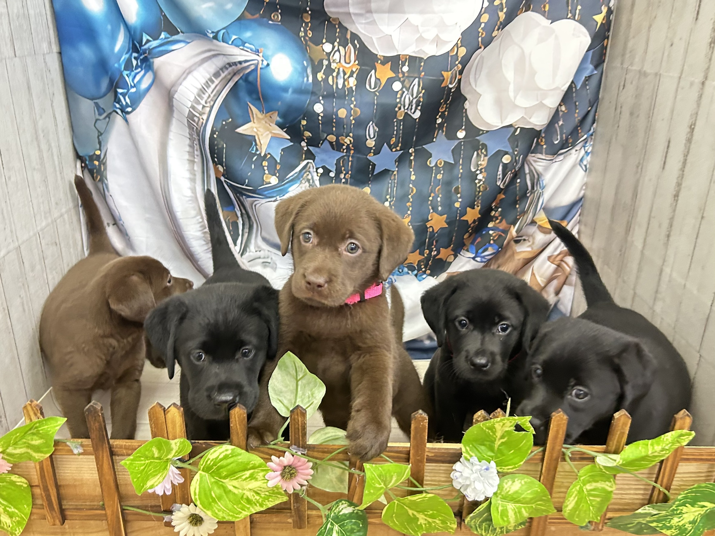 赤ちゃん写真3-3