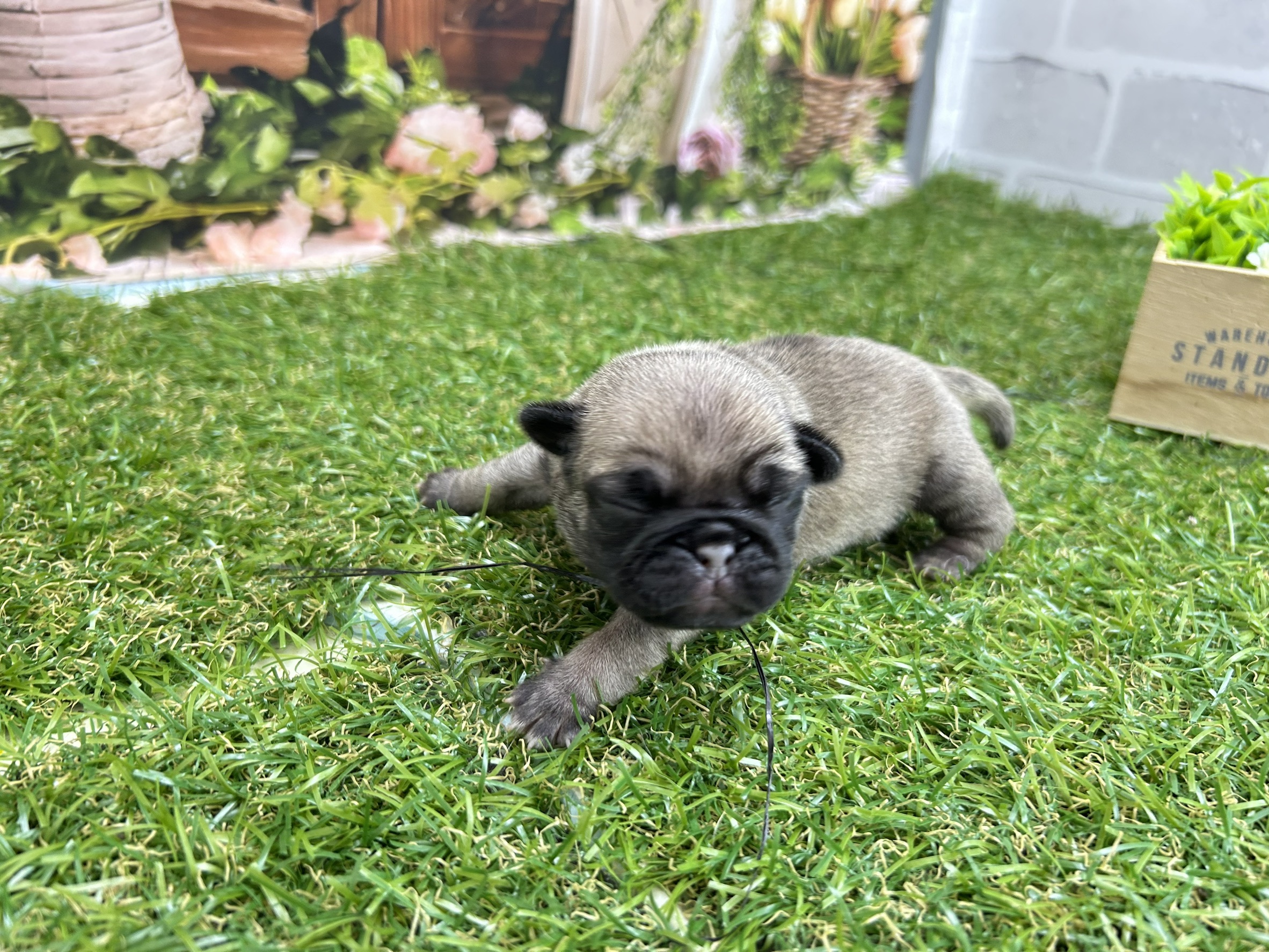 赤ちゃん写真1-2
