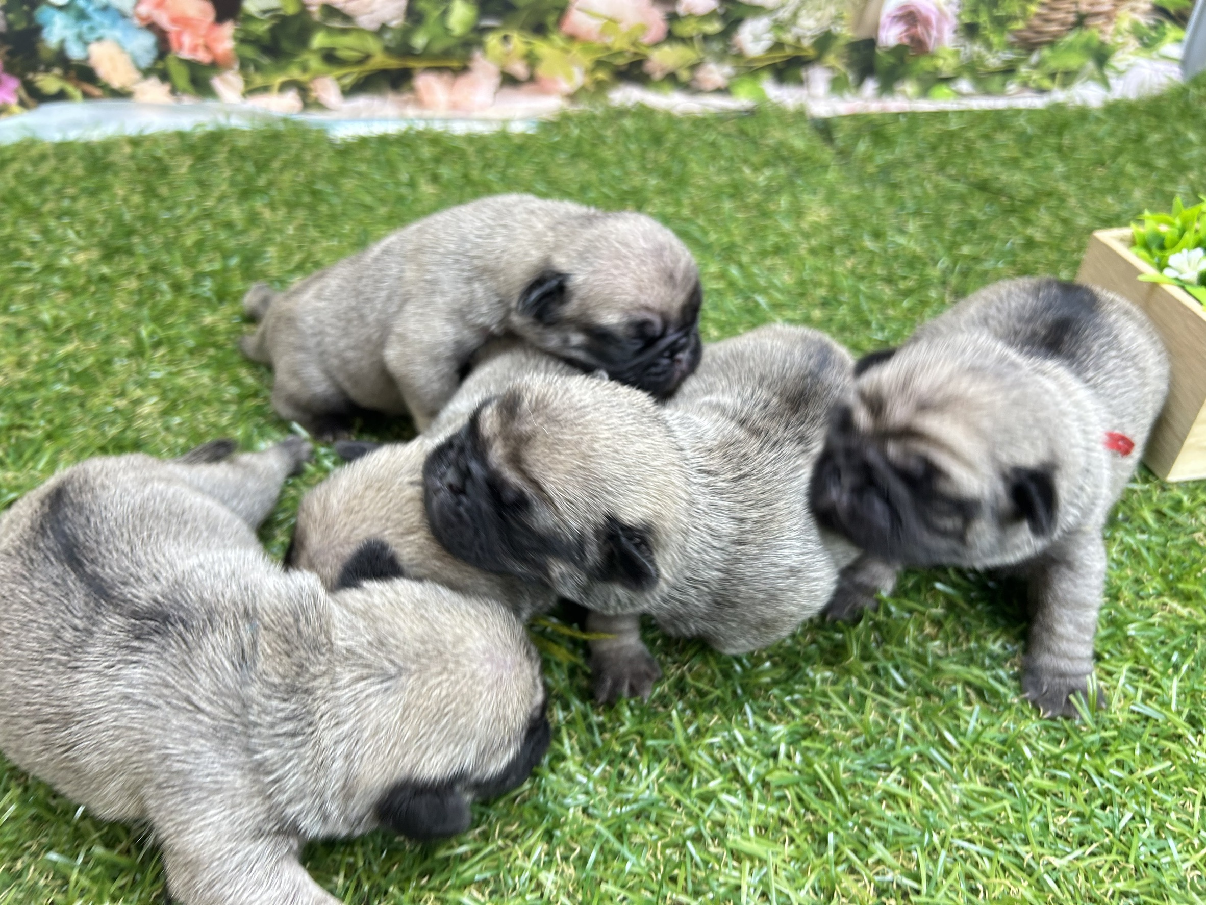 赤ちゃん写真1-3