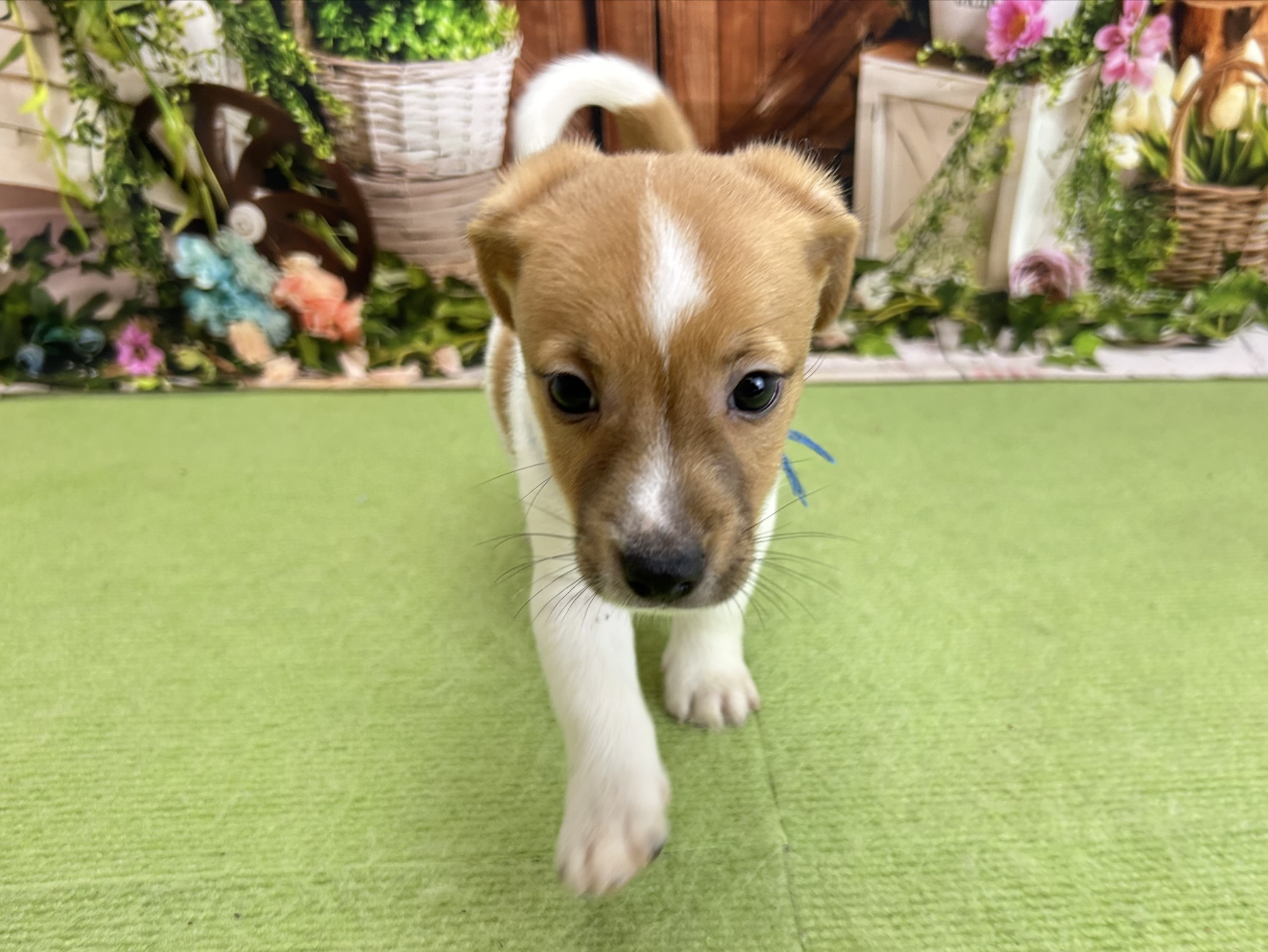 赤ちゃん写真3-1