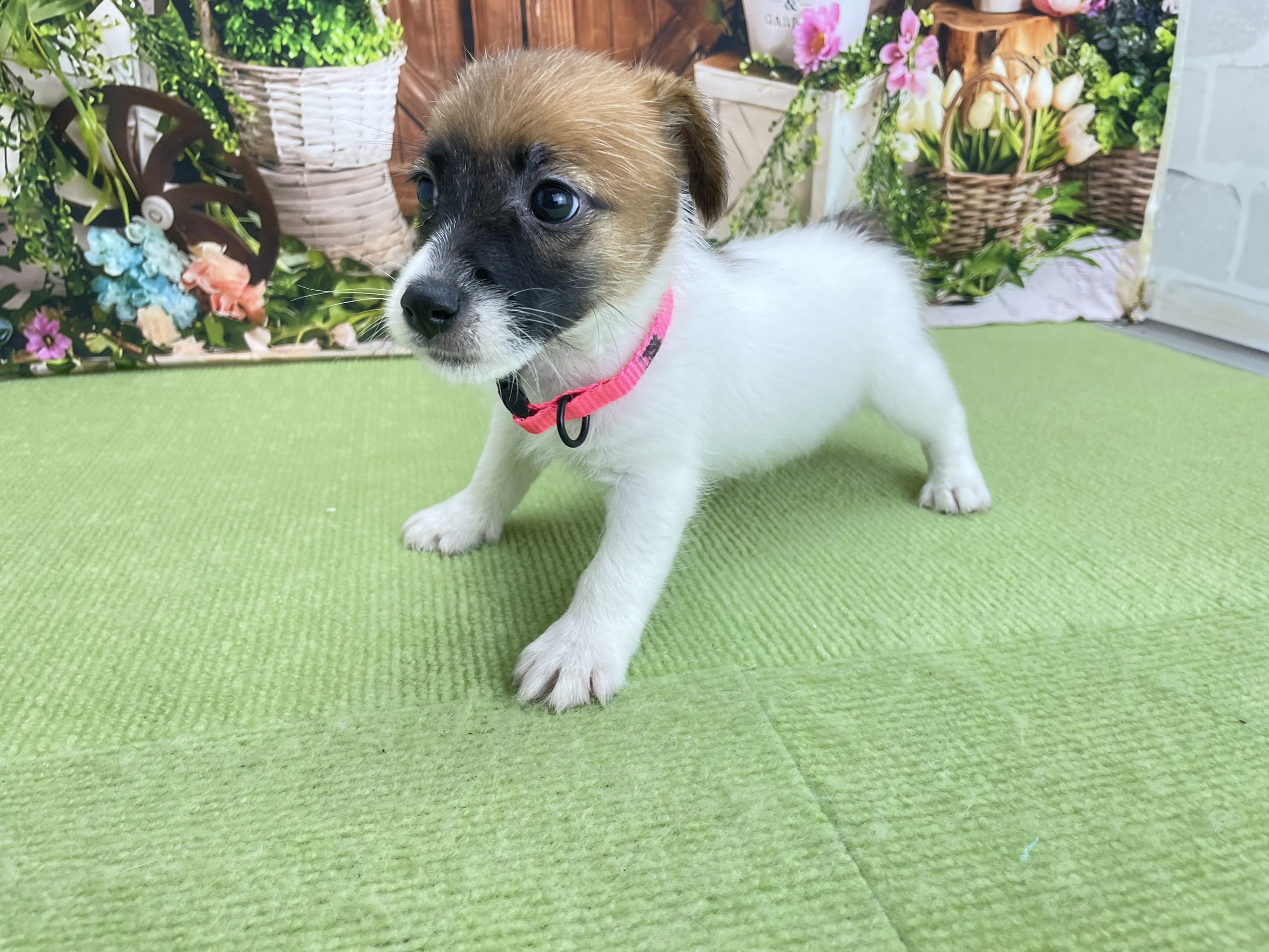 赤ちゃん写真3-2