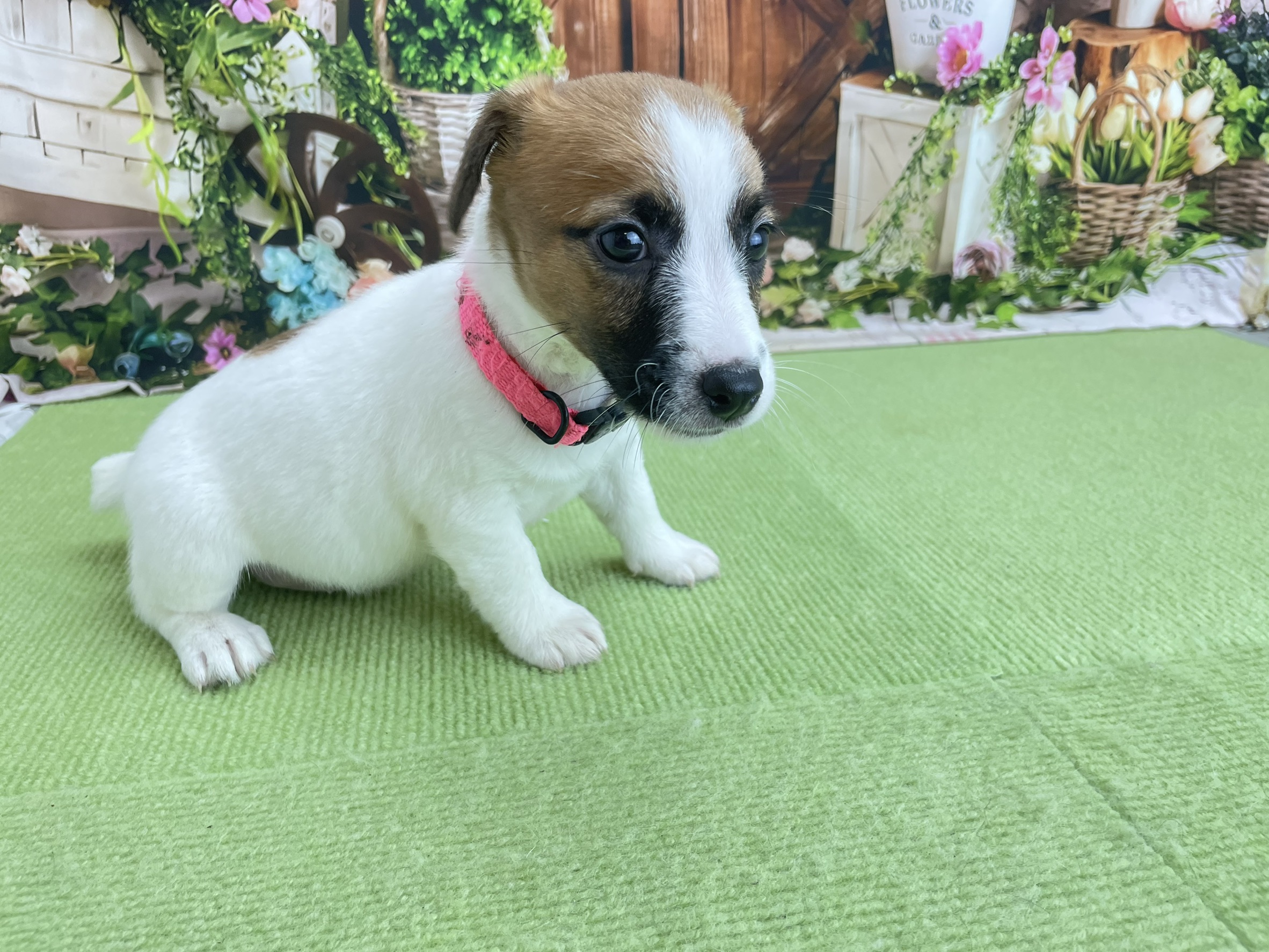 赤ちゃん写真3-2