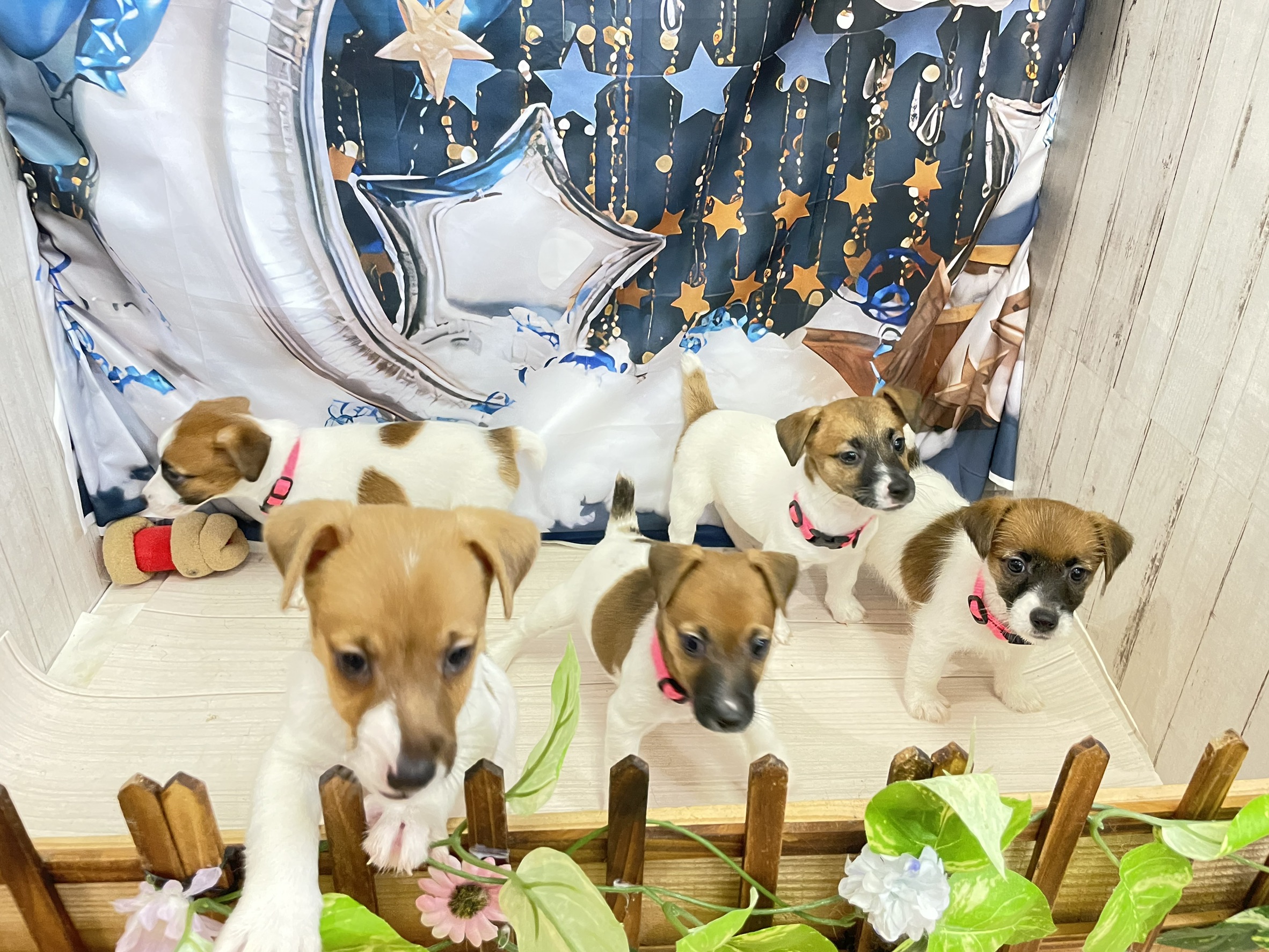 赤ちゃん写真3-3