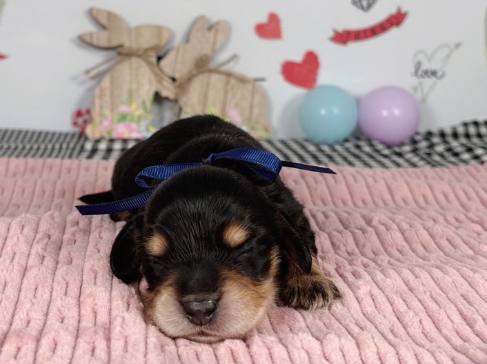 赤ちゃん写真1-1