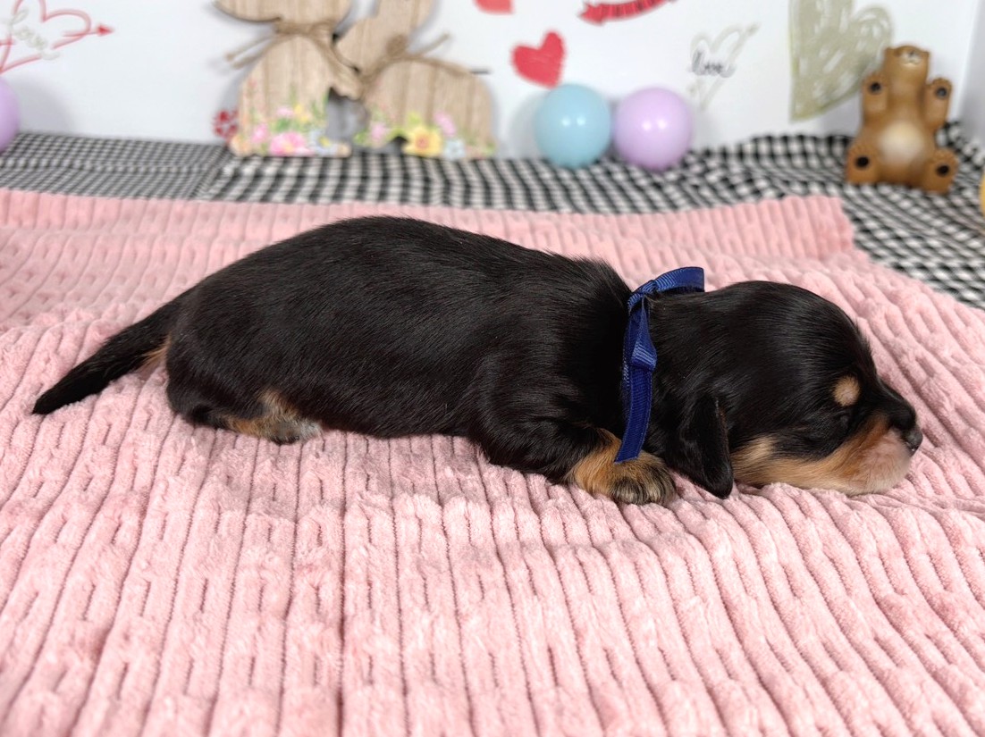 赤ちゃん写真1-2