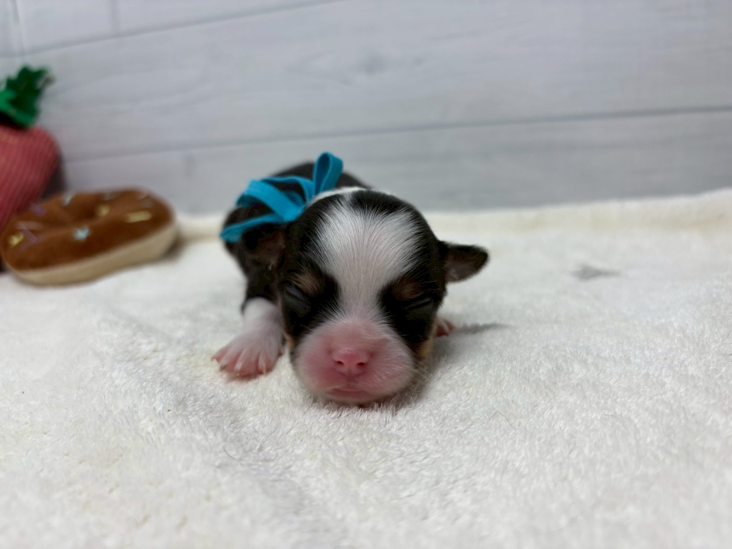 赤ちゃん写真1-1