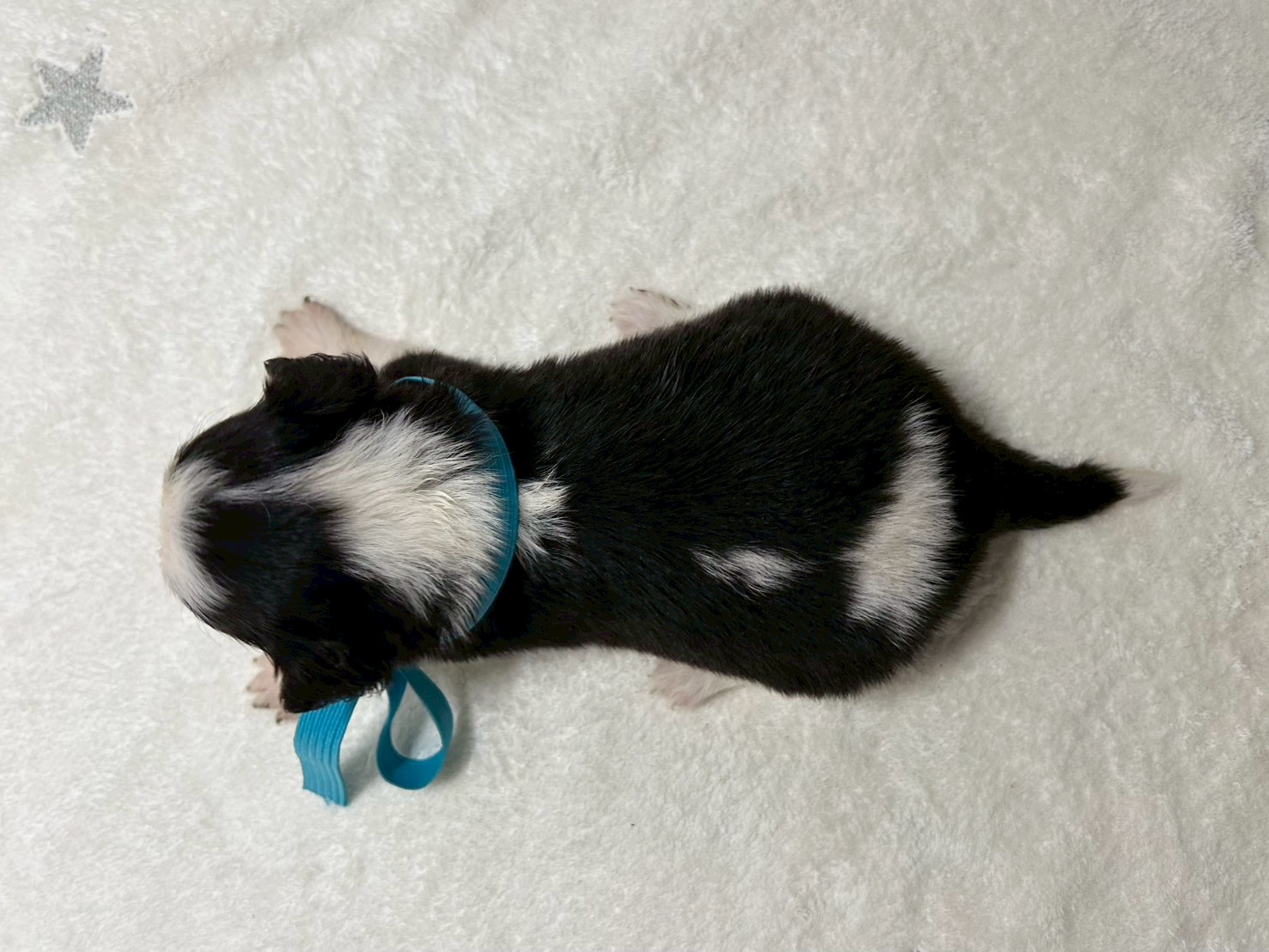 赤ちゃん写真2-3