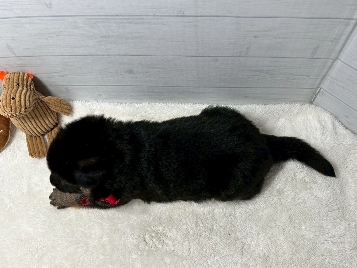赤ちゃん写真2-3
