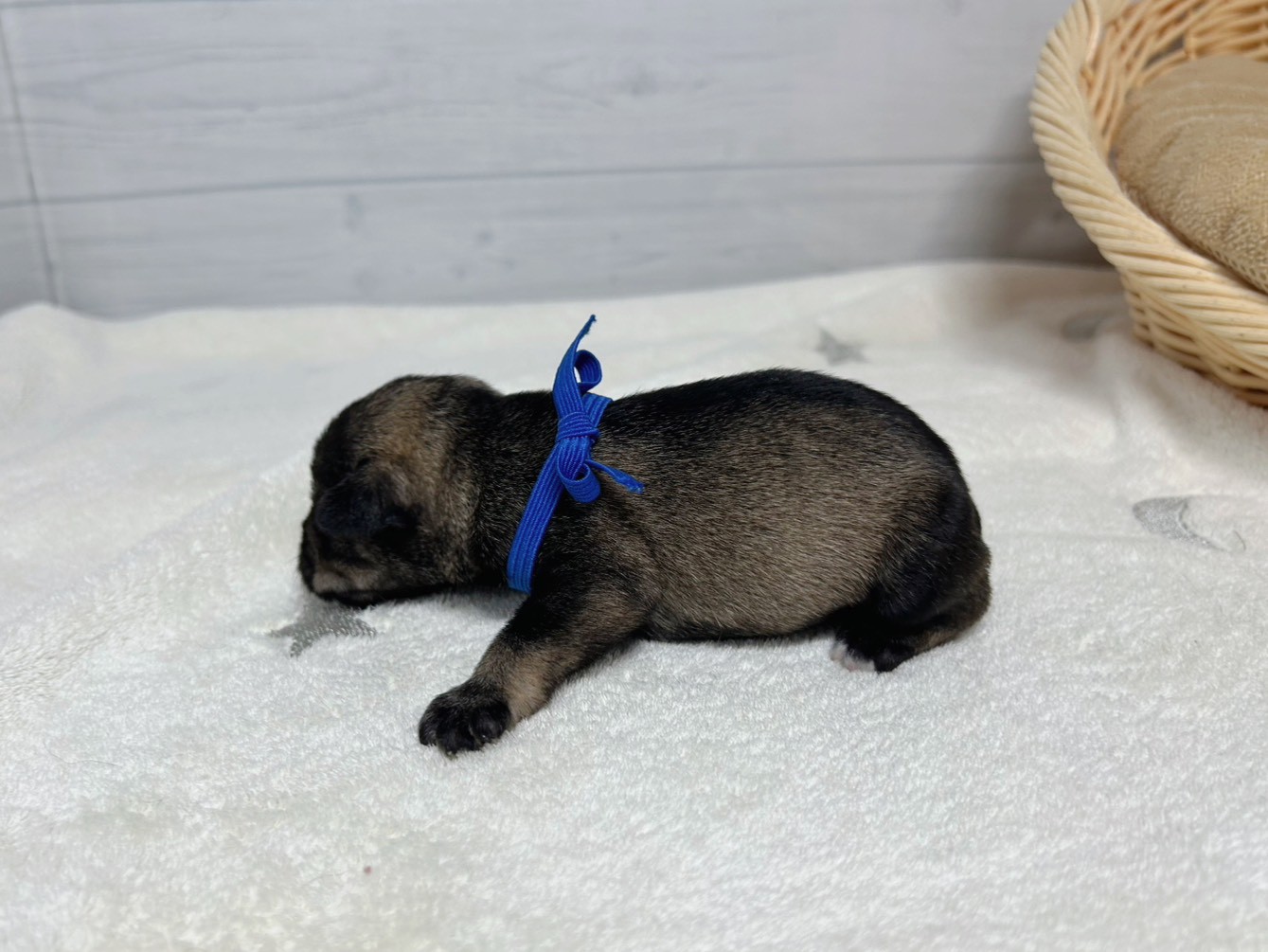 赤ちゃん写真1-2