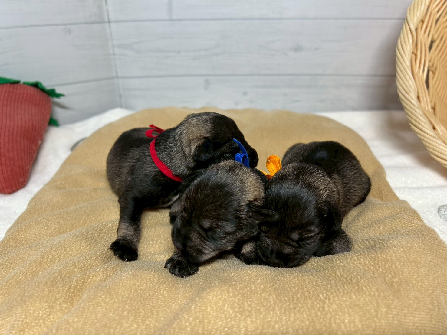 赤ちゃん写真1-3