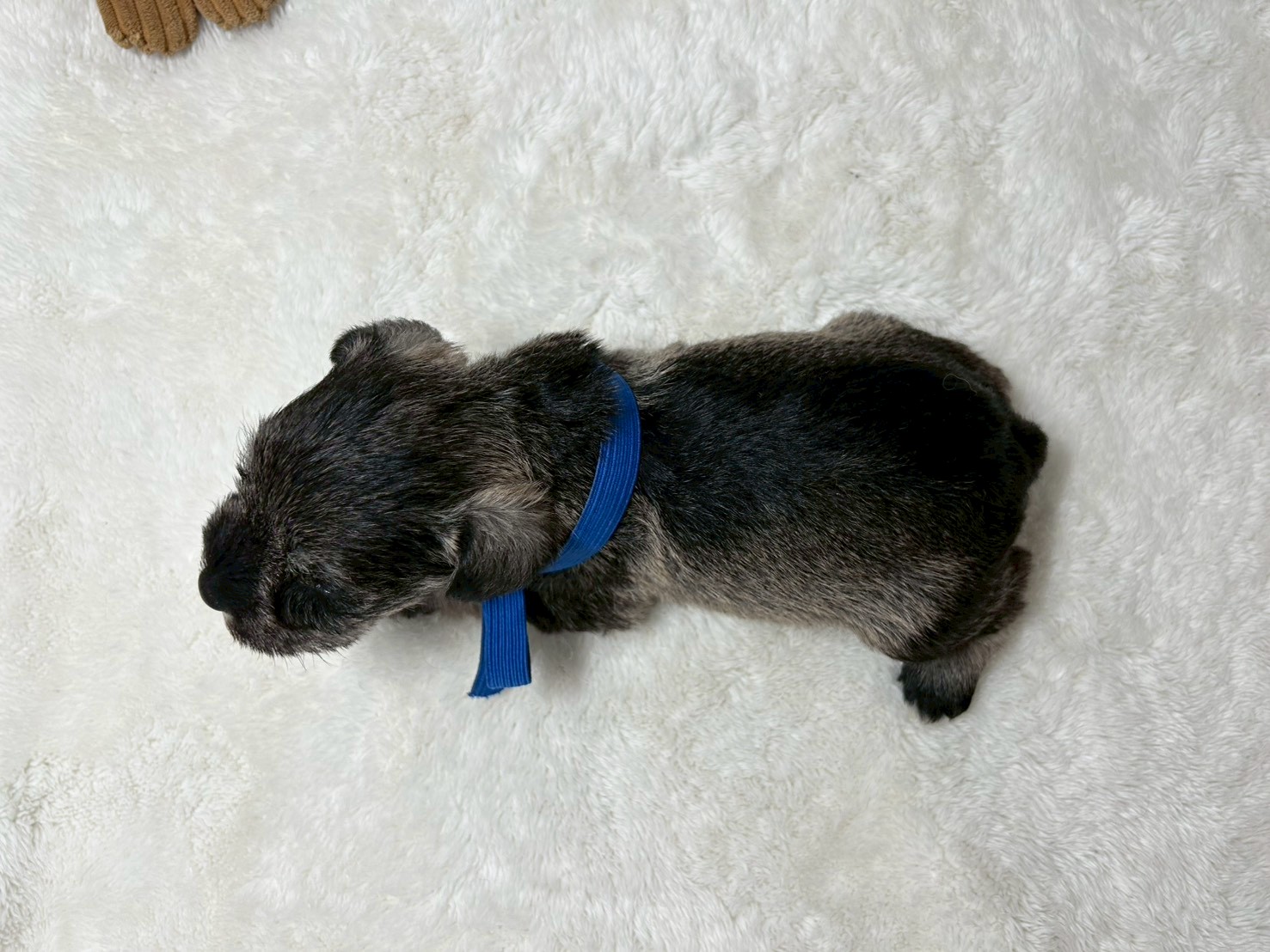 赤ちゃん写真2-3