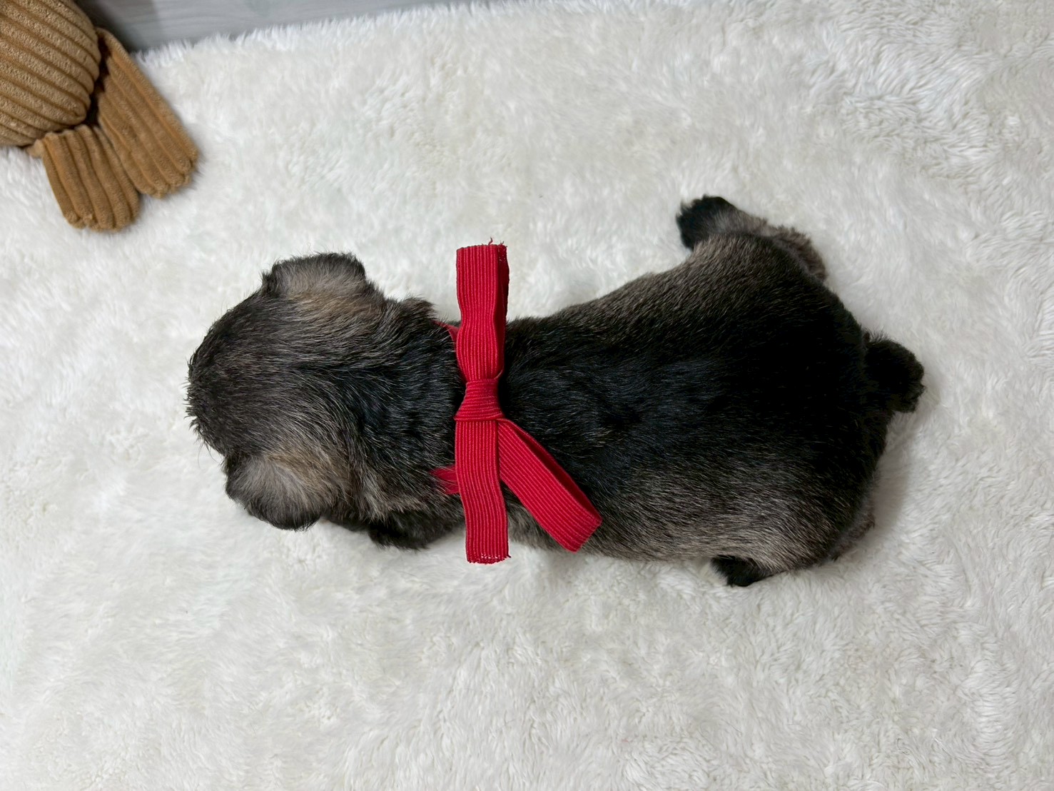 赤ちゃん写真2-3