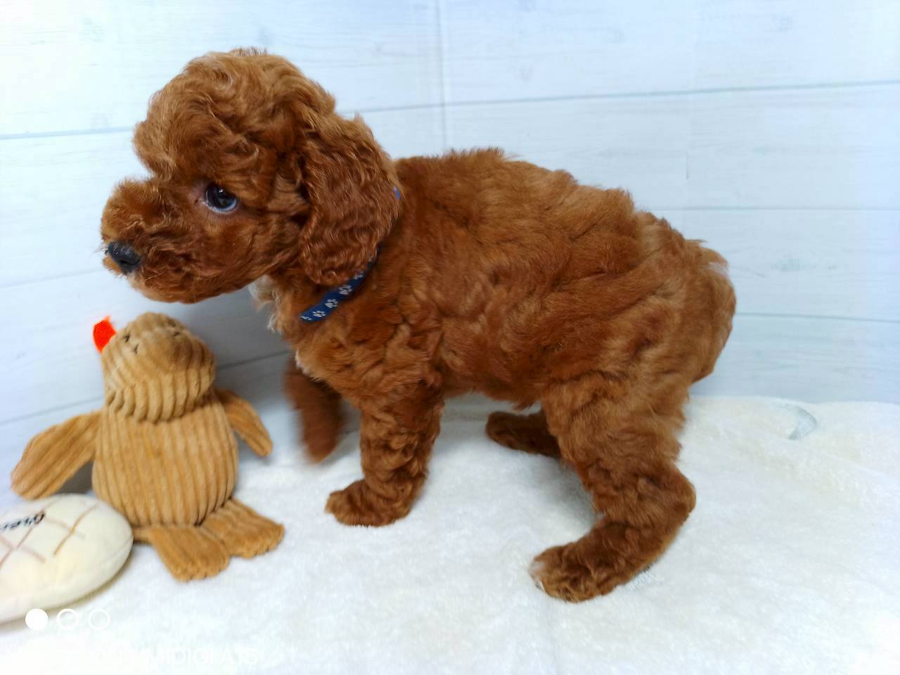 赤ちゃん写真3-2