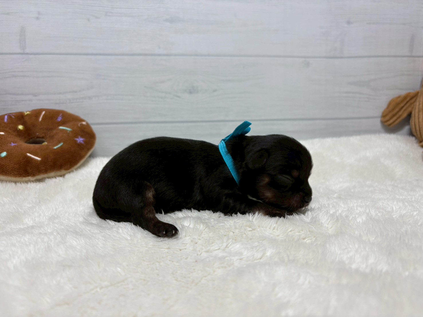 赤ちゃん写真1-2
