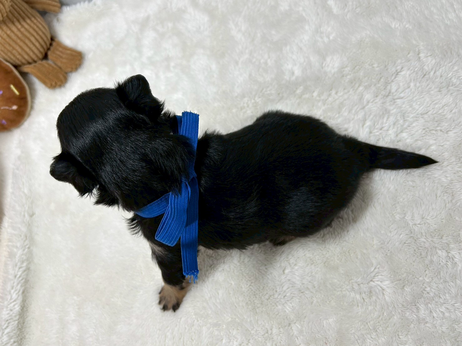 赤ちゃん写真2-3