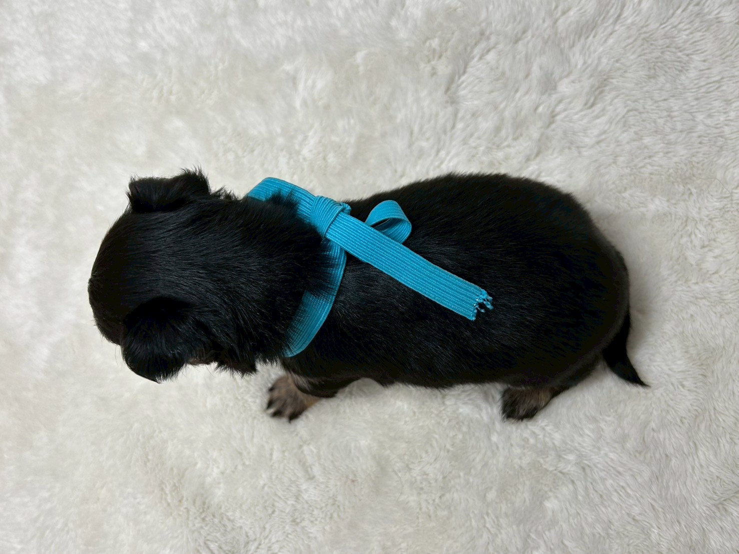 赤ちゃん写真2-3
