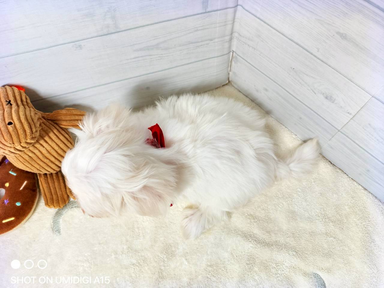 赤ちゃん写真3-3