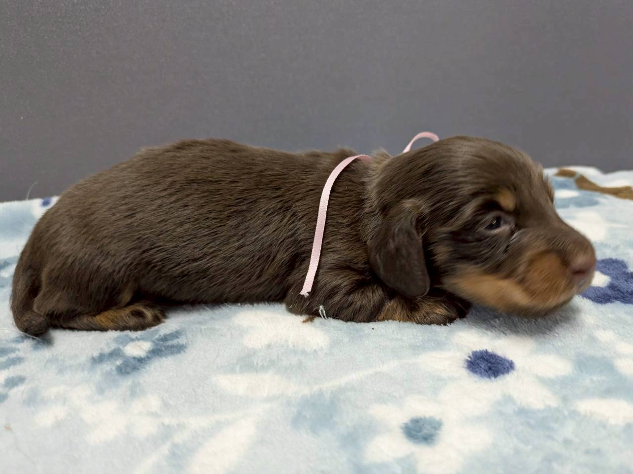 赤ちゃん写真2-2