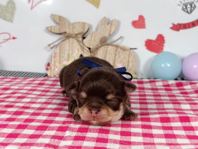 赤ちゃん写真1-1