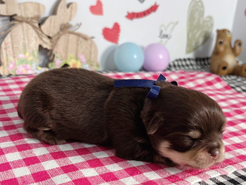 赤ちゃん写真1-2
