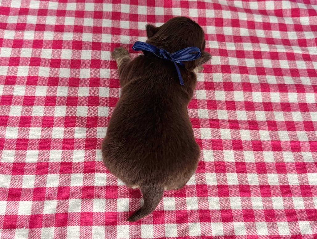 赤ちゃん写真1-3