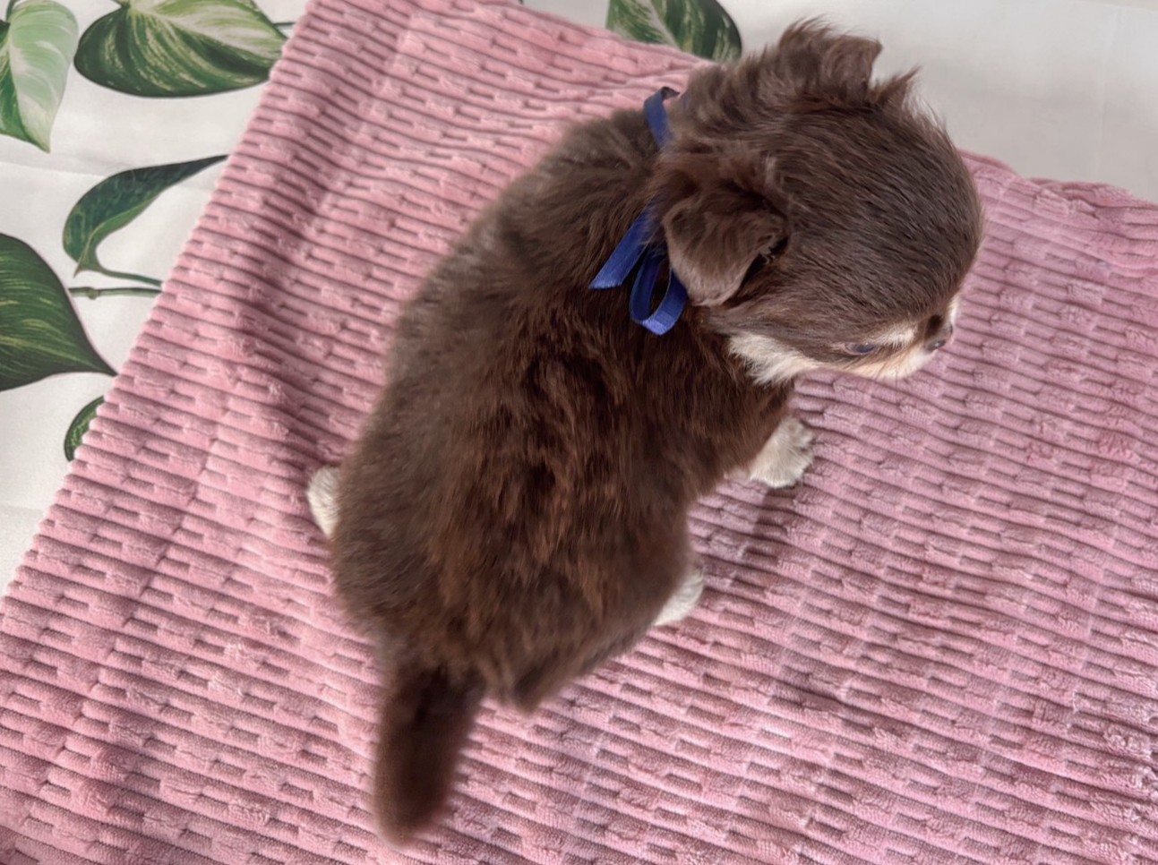 赤ちゃん写真2-3